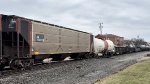 NS 270708 is new to rrpa.